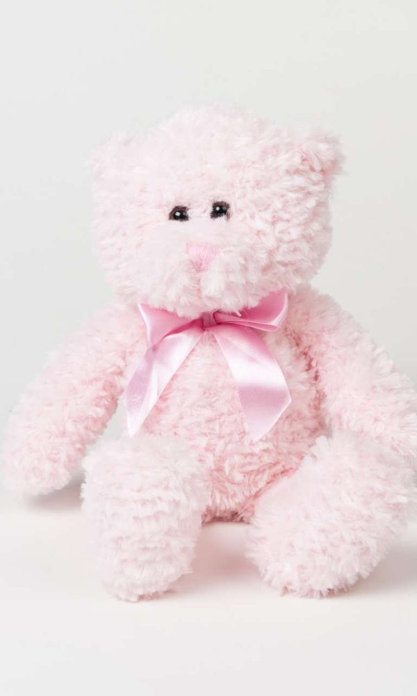 MUMBLES BRUMBLE BEAR