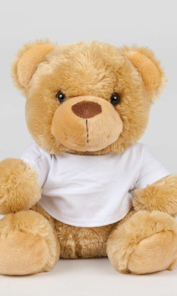 BEAR IN A T-SHIRT