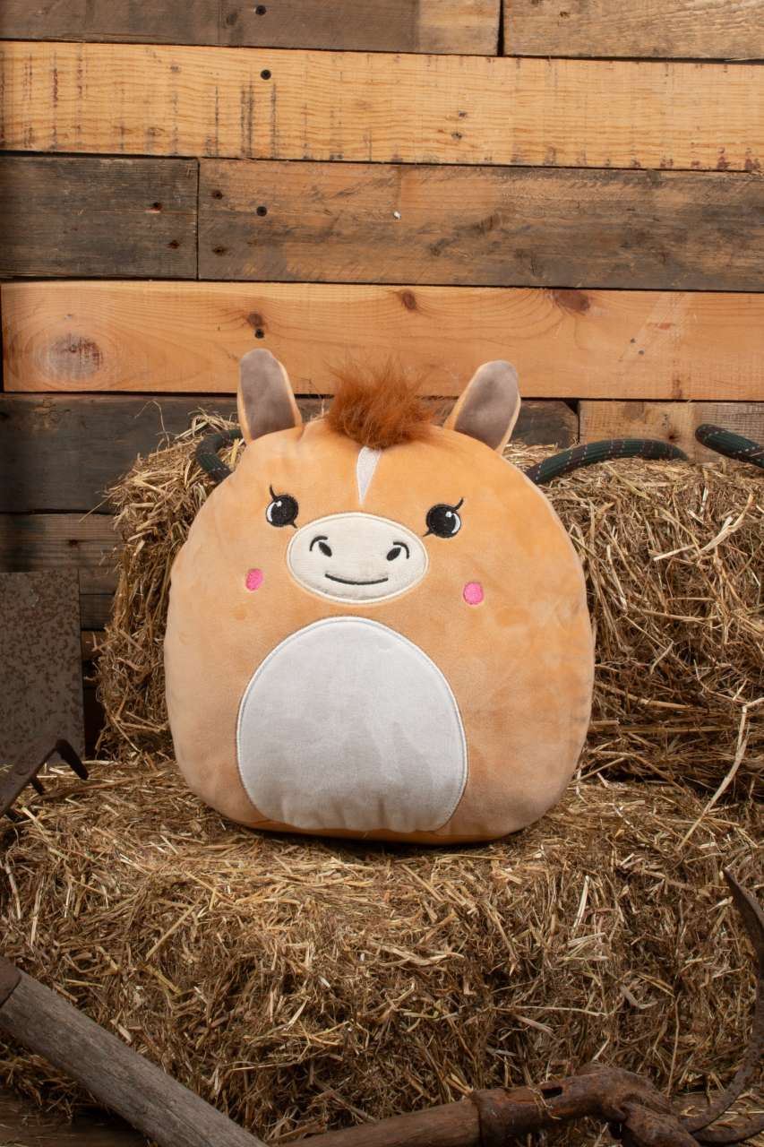 SQUIDGY'S - Slika 12